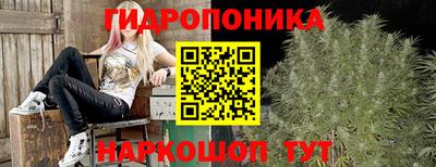 a pvp Рузаевка
