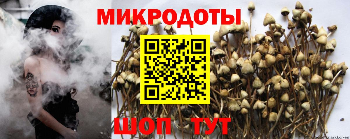 Псилоцибиновые грибы MAGIC MUSHROOMS  Вход с VPN  Псилоцибиновые грибы мухоморы  Обь 