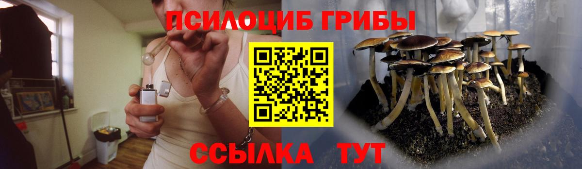 Псилоцибиновые грибы GOLDEN TEACHER Обь